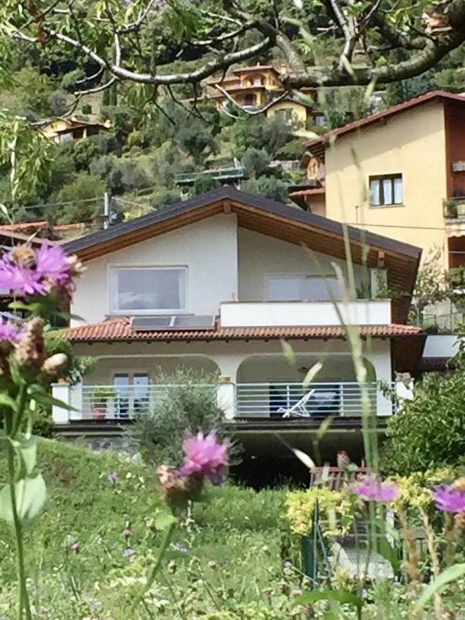 Villa 3 Olivi - Lenno By Lovecomo